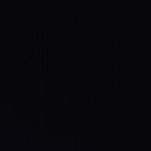 Meet your Posher, Rodney